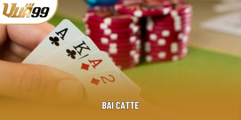 Bài Catte: Hướng Dẫn Chiến Thuật Thắng Lớn Cho Hội Viên Mới