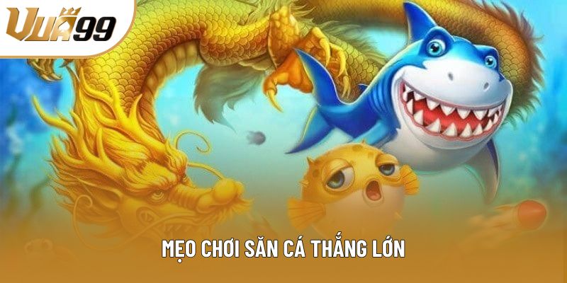 Mẹo chơi săn cá thắng lớn