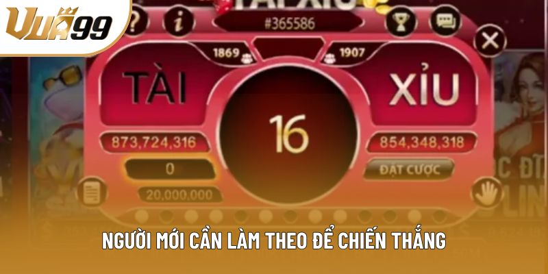 Người mới cần làm theo để chiến thắng